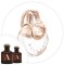 ESSÊNCIA BUKLGARI CRYSTALINE 50 ML