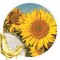 Oleo Vegetal de Girassol 100ml