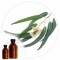 Essencia Eucalipto - 50ml