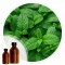 Essencia Hortela - 50ml