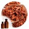 Essencia Sandalo - 50ml