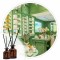Essência T.B Imperial 50ml