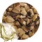 Extrato Glicolico de Castanha da India 100ml
