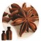 Essencia Anis- 50ml