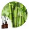 Essência PP Bamboo
