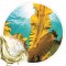 Extrato Glicolico de Algas Marinhas 100ml