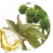 Oleo Vegetal de Ricino 100 ml