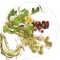 Extrato Glicolico de Henna 100ml