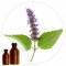 Essencia Patchouli - 50ml