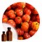 Essencia Pitanga - 50ml