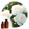 Essencia Rosas Brancas - 50ml