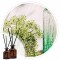 Essência Verbena 50ml