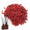 Essência Pimenta Rosa 50ml