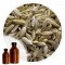 Essencia Erva Doce - 50ml