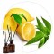 Essência Limone e Verbena 50ml