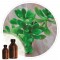 Essencia Balsamo - 50ml