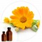 Essencia Calendula - 50ml