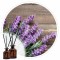 Essência Lavanda Ultra 50ml