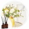 Essência Jo Malone English 50ml
