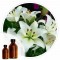 Essencia Lirio - 50ml