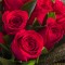 Essencia Rosas Vermelhas - 50ml