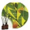 Essência Jo Malone Mandarim 50ml