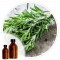 Essencia Alecrim Looc - 50ml